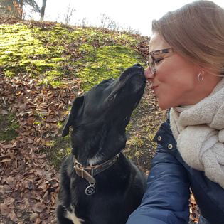 Contact -Dierentolk Oosterbeek